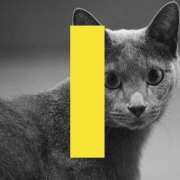 This is Love (SUPER JUNIOR) | Kpop Wiki | Fandom