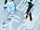 LE SSERAFIM Crazy group concept photo 16.png