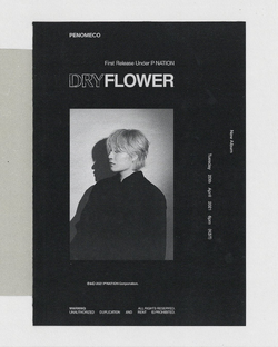 Dry Flower (Penomeco) | Kpop Wiki | Fandom