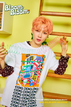 THE BOYZ ドボイズ　ドボ　bloom bloom ニュー　サノク　トレカ theboyz ドボイズ ヨンフン サノク bloom bloom トレカ