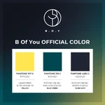 B.O.Y official colors.png (220 КБ) Официальные цвета