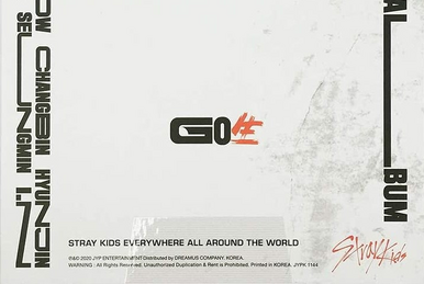 アイドル Stray Kids 1st Lovestay SKZ-X Hyunjin Stray Kids Japan Official on X: 