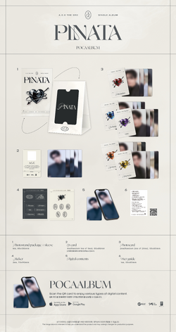 Pinata | Kpop Wiki | Fandom