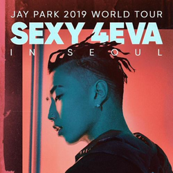 K-POP・アジア JAYPARK GO with JAY DVD K-POP・アジア JAYPARK GO with JAY DVD ミュージック JAYPARK