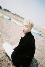 BTS Jin The Most Beautiful Moment In Life Young Forever concept photo 4