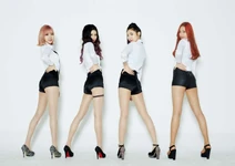 New Top 2016 profile photo (1).png (461 KB) 2016 profile photo (as New Top)