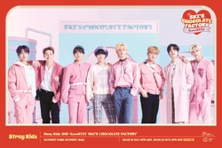 Stray Kids 2nd #LoveSTAY 