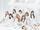 BDZ -Repackage-