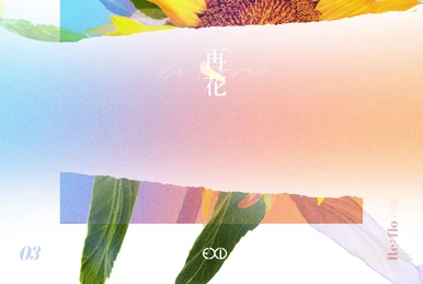 Apink Single Collection | Apink Wiki | Fandom