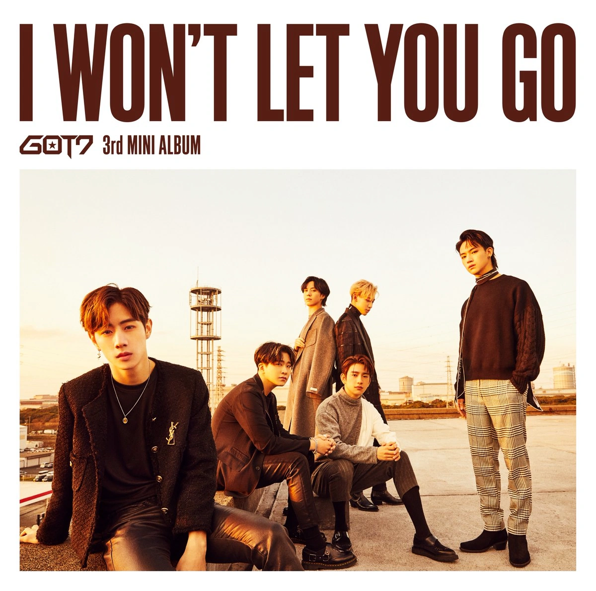i won't let you go traduzione