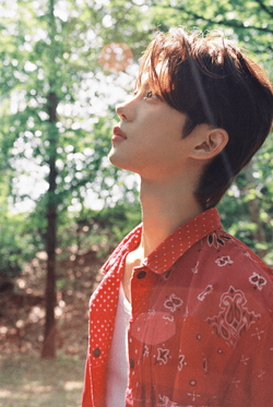 Kim Dohun (idntt) | Kpop Wiki | Fandom