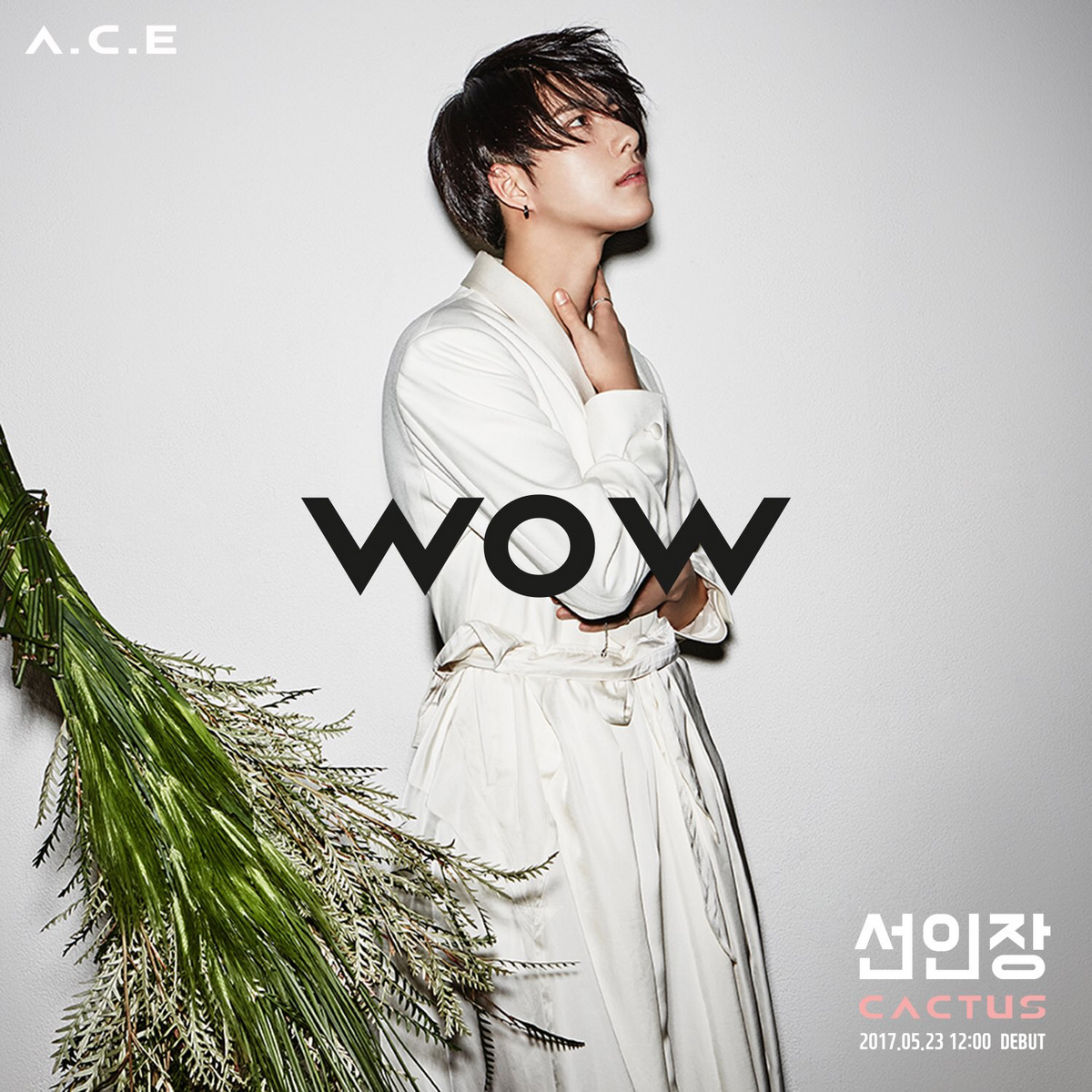 Wow (A.C.E)/Gallery | Kpop Wiki | Fandom