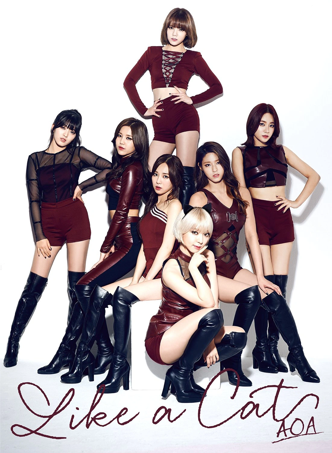 【新品未開封】AOA サップンサップン 韓国盤 Like a Cat Like a Cat (Japanese single) | Kpop Wiki | Fandom