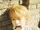NCT WISH Yushi Wish concept photo 19.webp