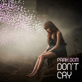 Park Bom Don't Cry album cover