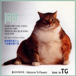 TG Papa album cover