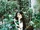 ILLIT Minju Super Real Me concept photo 6.png