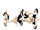 Rainbow Blaxx RB Blaxx promoting photo (2).png