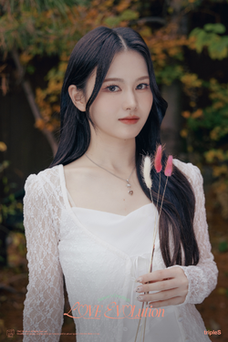 【送料無料/新品】 Mayu | Kpop Wiki | Fandom K-POP・アジア