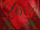 CLASSy Love XX cover.webp