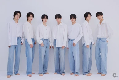 Fiestar A Delicate Sense 韓国盤CD Fiestar A Delicate Sense 韓国盤