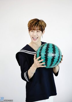 GOT7 マーク ドール（初期） KPOP Star GOT7 Mark MINHYUN JR Jinyoung Jackson Bambam Plush