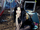 Aespa Giselle Long Chat concept photo 3.webp