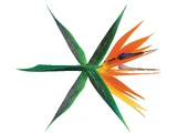The War (EXO)