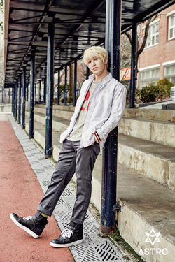 ASTRO 3期 FANCLUB ファンクラブ ジンジン JINJIN コンプ ASTRO 3期 FANCLUB ファンクラブ ジンジン JINJIN コンプ ASTRO