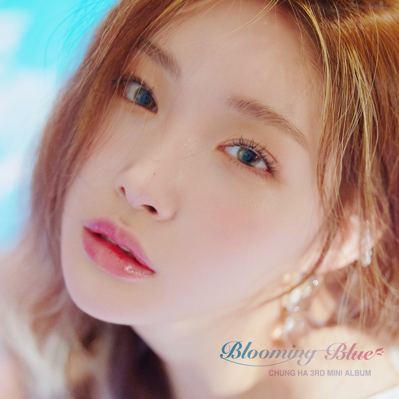 Blooming Blue, Kpop Wiki