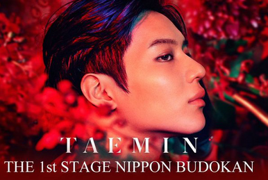 ＴＡＥＭＩＮ ＴＨＥ １ｓｔ ＳＴＡＧＥ ＮＩＰＰＯＮ ＢＵＤＯＫＡＮ ...