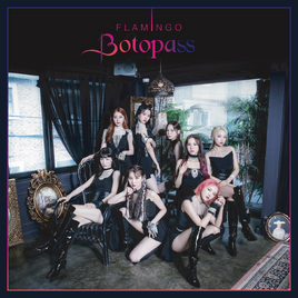 BOTOPASS Flamingo album cover