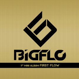 BIGFLO First Flow cover
