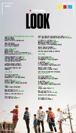 "Look" fanchant guide