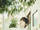 NCT WISH Ryo Wish concept photo 19.webp