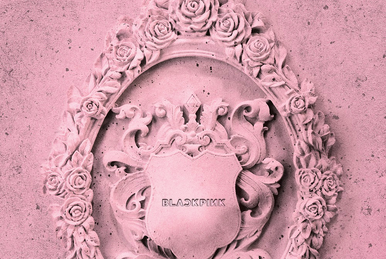 BLACKPINK★Kill This Loveの封入特典など★５点 ロゼ Amazon.co.jp: BLACKPINK-KILL THIS LOVE-PINK Ver(輸入盤