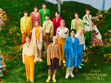 SEVENTEEN Sector 17 group concept photo