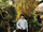 Winwin Mens Uno September 2024 7.webp