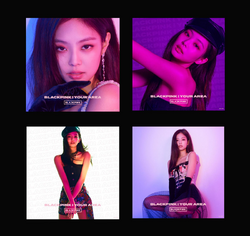 BLACKPINK In Your Area | Kpop Wiki | Fandom