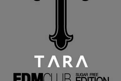 T-ARA's Free Time in Paris and Swiss | Kpop Wiki | Fandom