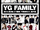 YG Family 2014 World Tour - Power in Japan poster.png