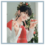 Lapillus Kpop Profile Position Siyoung H Boyz profile photo.png (339 KB)
