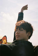 BTS Jungkook The Most Beautiful Moment In Life Young Forever concept photo 4