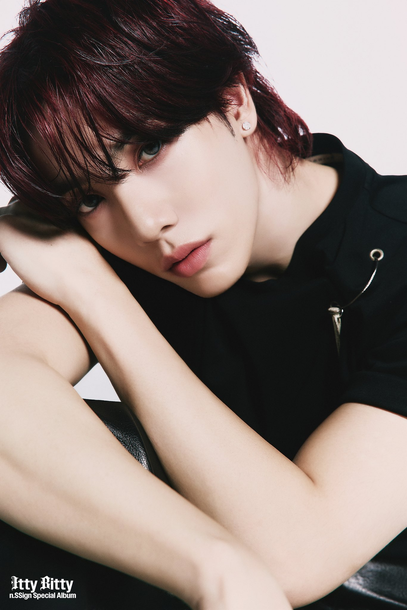 超歓迎された | Kazuta Kpop Fandom | Wiki タレント・お笑い芸人
