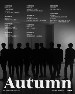 DKB Autumn d1 mmt アルバム トレカ DKB Autumn d1 mmt アルバム トレカ