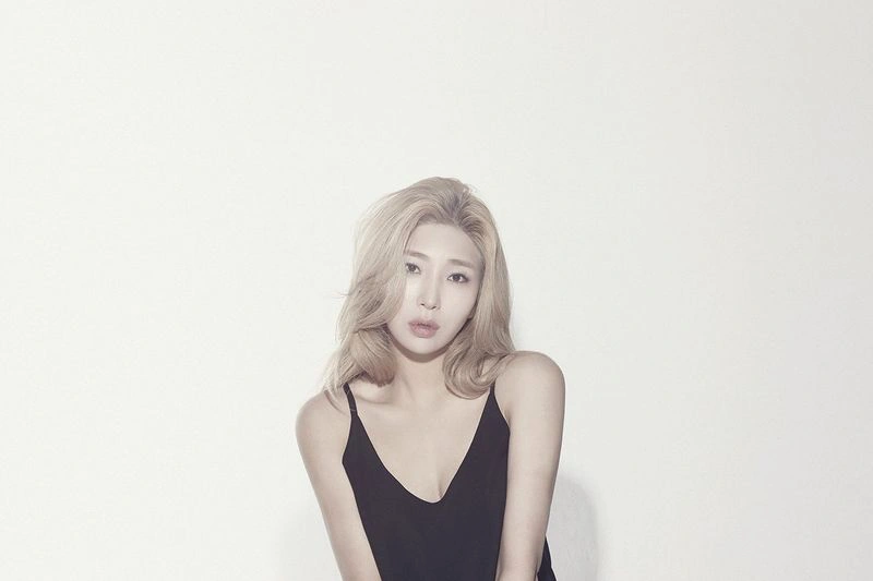 Giant Pink | Kpop Wiki | Fandom