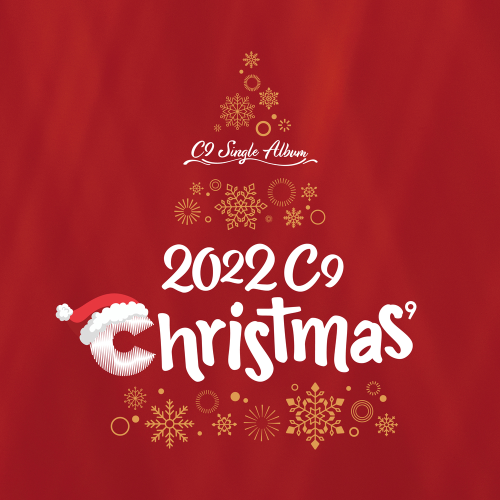 【ラッピング無料】 2022 Fandom | Wiki Kpop | Christmas C9 K-POP・アジア