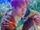 MONSTA X Jooheon We Are Here concept photo 3.png