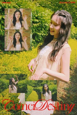 Elly para CoinciDestiny