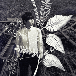 K.Will Re album cover
